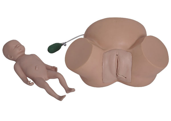 康人 高級(jí)難產(chǎn)示教訓(xùn)練模型 KAR/8A