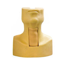 高級氣管切開插管訓練模型KAS/53 