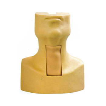 高級氣管切開插管訓練模型KAS/53 