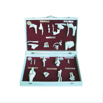  人體骨關(guān)節(jié)分類模型KAR/11212  