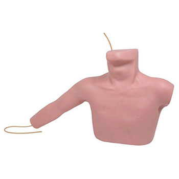  外周穿刺、中心靜脈穿刺插管模型KAR/L67A  