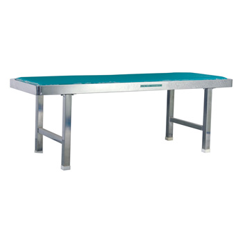 華瑞噴塑診查床D361 1900×625×660mm