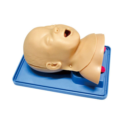  高級嬰兒氣管插管訓(xùn)練模型KAS-15-2  