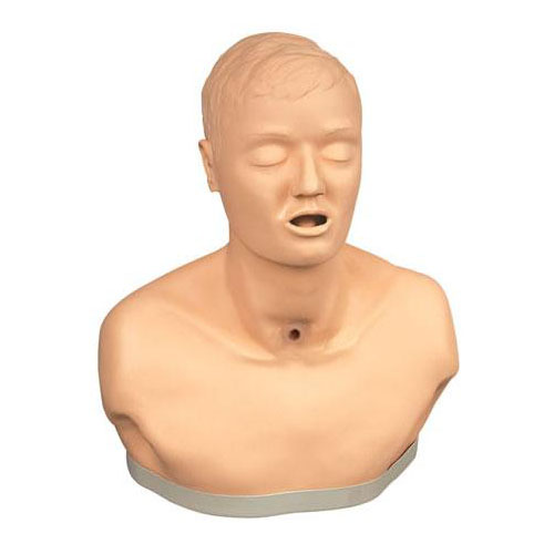  高級(jí)成人氣管切開(kāi)護(hù)理模型KAS-H23  