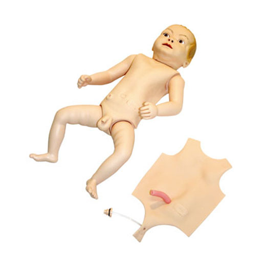  高級嬰兒護(hù)理人模型KAS-130  