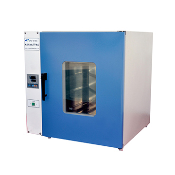上海精其電熱恒溫鼓風干燥箱DHG-9243A 