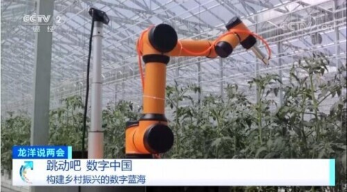 構(gòu)建鄉(xiāng)村振興的數(shù)字藍(lán)海 構(gòu)建鄉(xiāng)村振興的數(shù)字藍(lán)海